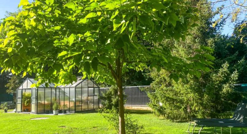  SCHÖNER WOHNEN IN TRUMAU - VILLA AUF 2500 m² IN TOPRUHELAGE MIT HIGH-TECH-KOMFORT