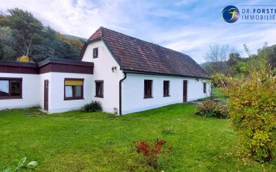  Renovierungsbedürftiges Wohnhaus mit angrenzenden 2888 m² Grünland zu verkaufen