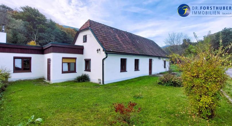  Renovierungsbedürftiges Wohnhaus mit angrenzenden 2888 m² Grünland zu verkaufen
