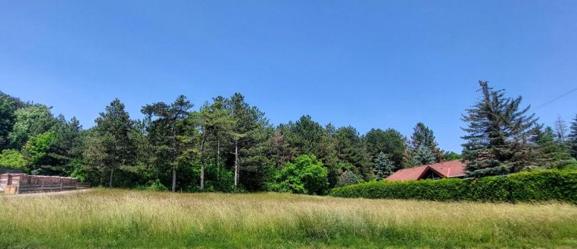 VERKAUFT - Baugrund mit 683m² in idyllischer Grünruhelage von Berndorf